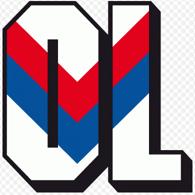 olympique lyonnais 1989-1996 primary logo t shirt iron on transfers